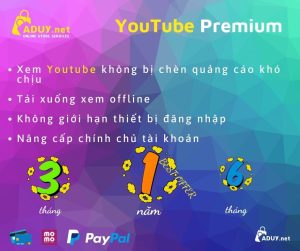 Update giá nâng cấp Youtube Premium